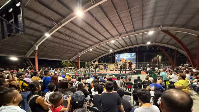 El Comisionado, conocido como "Taurus" podría dejar su cargo.