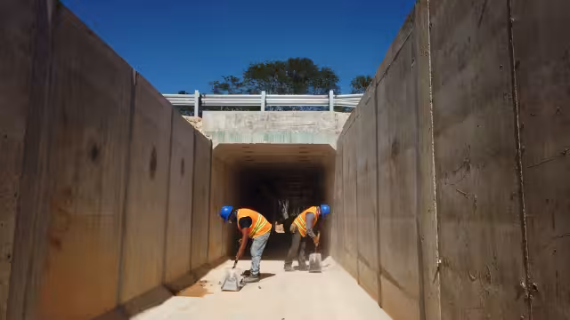 El Tren Maya activará la economía del Sureste de México, misma que por muchos años estuvo estancada