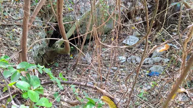 Vecinos denuncian limpieza superficial y descargas de aguas negras en cuerpos de agua conectados al acuífero