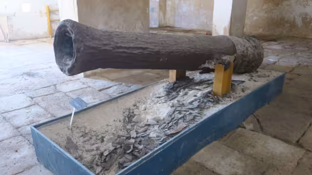 El cayó fue rescatado hace algunos años de la duna costera del puerto de Sisa