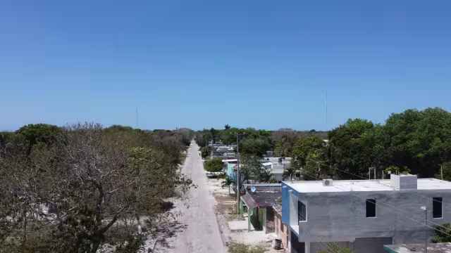 El negocio se realiza en los 11 municipios que rodean la capital yucateca, afirman