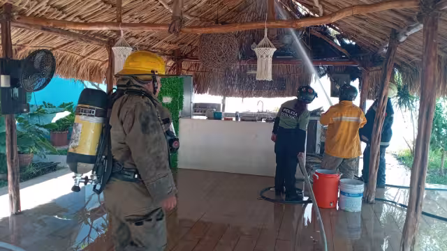 Elementos de la Policía Ecológica acuden a la colonia Francisco Villa por reporte de siniestro