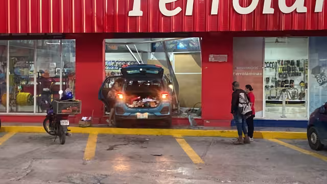 La mujer causó graves daños