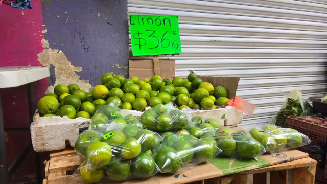 El precio del limón podría subir hasta 50 pesos por kilo en Campeche.
