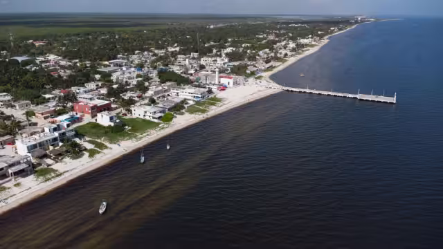 La marea roja en la costa es la colita de un fenómeno que se extiende mar adentro”, afirman