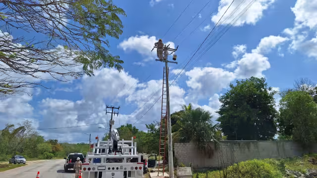 Las labores se realizan en la avenida Benito Juárez, entre las calles 83 y 85