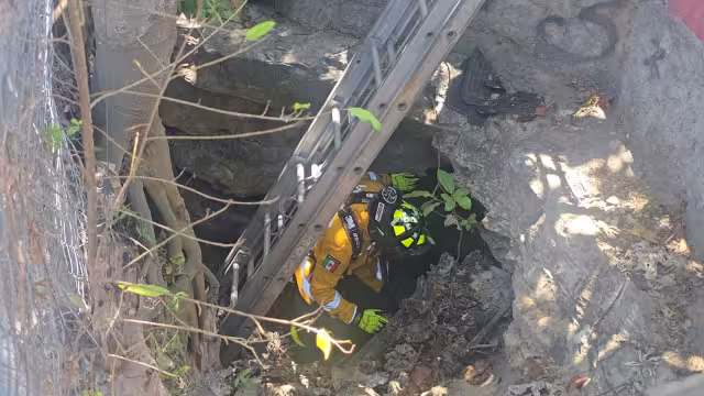 Uno de los animales se encontraba en muy malas condiciones dentro de una cueva.