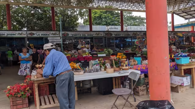 Productos de temporada en el mercado de José María Morelos para los Fieles Difuntos