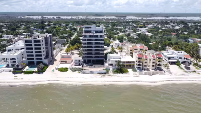Pronatura informó que el mayor problema se observa en Celestún, El Cuyo y Holbox