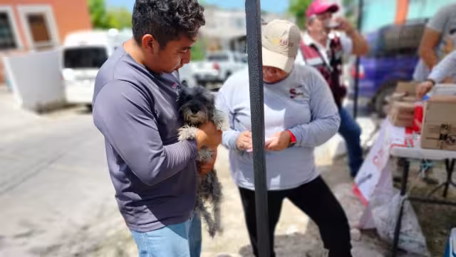 Arranca vacunación antirrábica en Campeche: priorizan prevención en mascotas