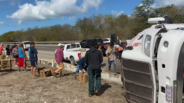 Rapiña en carretera Campeche–Mérida deja cinco detenidos