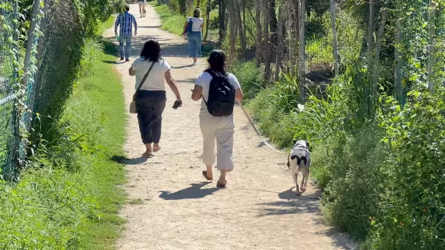 Se explicó que se colocará al perro o gato junto con una maceta con una planta u árbol mismos que tendrán el mismo nombre de la mascota.