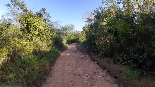 La policía municipal dio conocer este lunes que no encontró ningún cadáver ni lesionado alguno por dicho camino