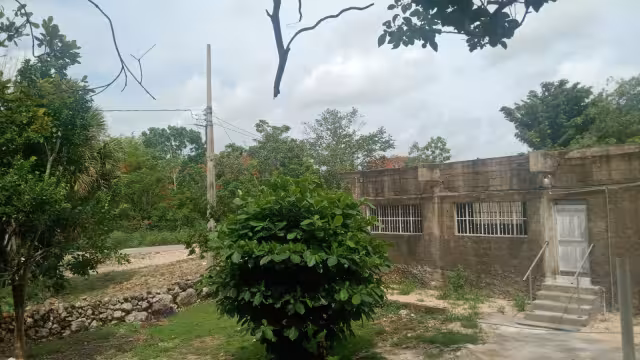 Caída de chuchillas deja sin luz y agua potable a vecinos de Felipe Carrillo Puerto
