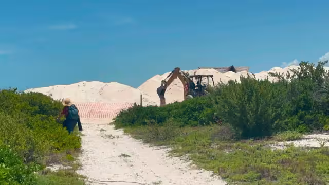 Habitantes y ambientalistas alertan por desarrollo inmobiliario en un ecosistema clave para la costa