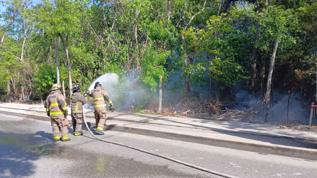 Elementos del Heroico Cuerpo de Bomberos acudieron al lugar para atender el hecho.