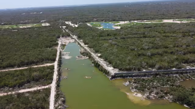Los lotes de inversión se han vuelto un negocio muy 'jugoso' en Yucatán