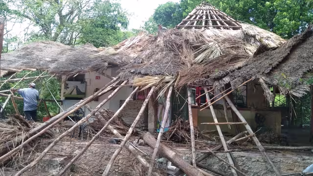 Existen dos palapas dentro de la zona arqueológica