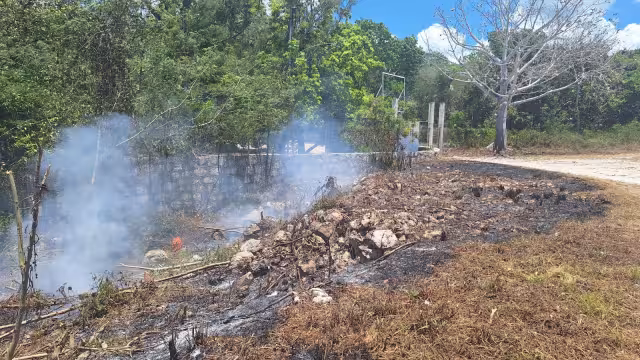Colilla de cigarro provoca incendio frente al INPI en Felipe Carrillo Puerto
