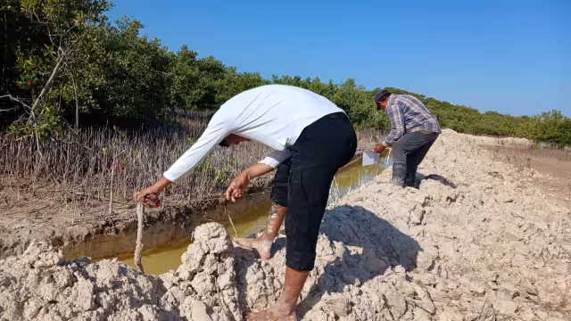 Campesinos de San Ignacio Petzbalam, Motul, impulsan la recuperación del ecosistema