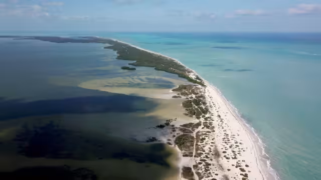 Los desechos que más se encuentran son latas y botellas de pet