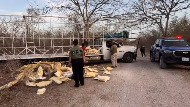 Los dos hombres tiraban nieve seca que transportaban en un camión