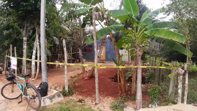 30 bolsitas drogas fueron aseguradas durante un cateo realizado en una vivienda en José María Morelos