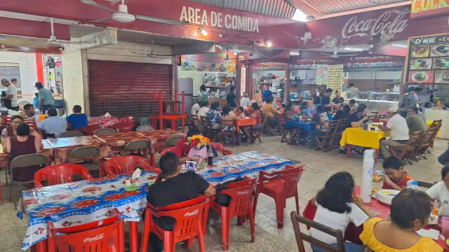 Familias de otros municipios o estados del país se reunieron a conocer el mercado de Felipe Carrillo Puerto