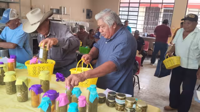 Campesinos de Sembrando Vida transforman frutas en conservas y almíbares para generar ingresos
