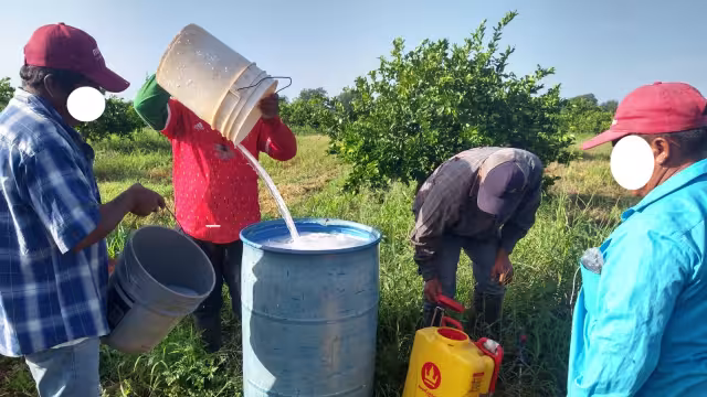 El producto que se usa para el control de plagas ha estado dañando el manto freático y las tierras de cultivo