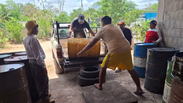 "Ya pasó un año": apicultores exigen informe financiero y pago de remesas