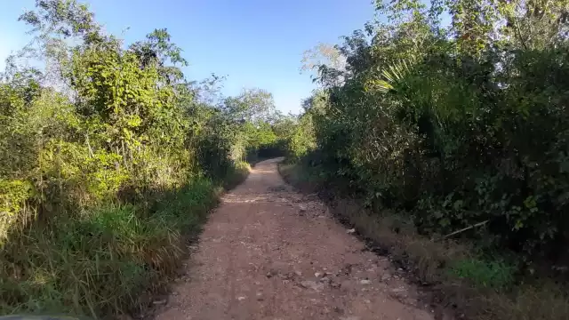 La policía municipal dio conocer este lunes que no encontró ningún cadáver ni lesionado alguno por dicho camino