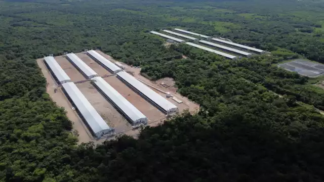 257 granjas existentes en la región, tan solo 22 han ejecutado el estudio de impacto ambiental