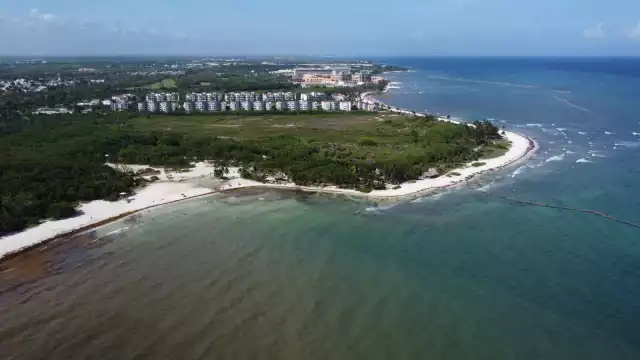 La compañía cumple después de 15 años de expectativas