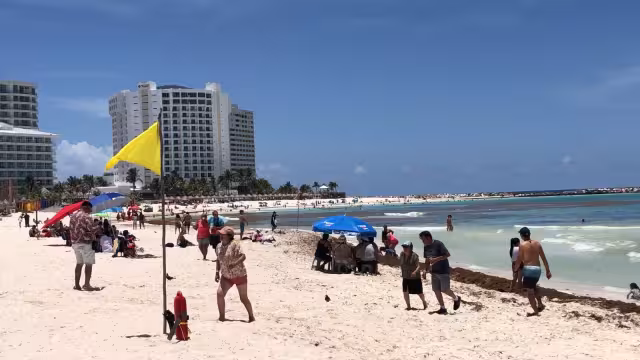 La bandera amarilla de precaución ondea en Playa Fórum, y en cuanto al sargazo, se observó poco recale en esta área de la Zona Hotelera de Cancún