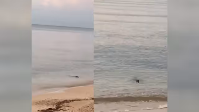 FOTO: Facebook Guadalupe Quijano