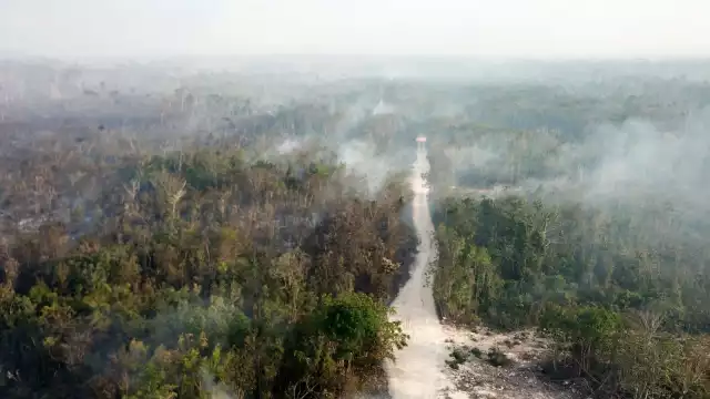 La Conafor recomendó a quienes salen de vacaciones a no dejar fogatas encendidas, o tirar colillas de cigarros para evitar más incendios forestales en Quintana Roo