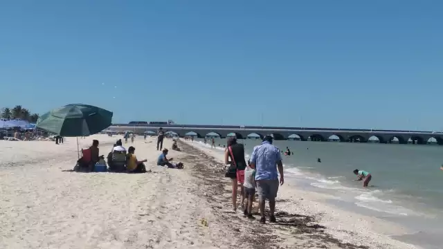 Visitantes locales abarrotan Progreso este sábado