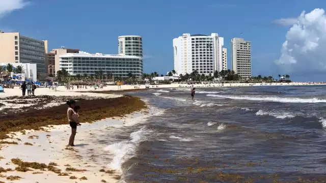 El sargazo ha afectado el último día de vacaciones de Verano en Cancún