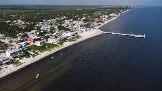 La marea roja en la costa es la colita de un fenómeno que se extiende mar adentro”, afirman