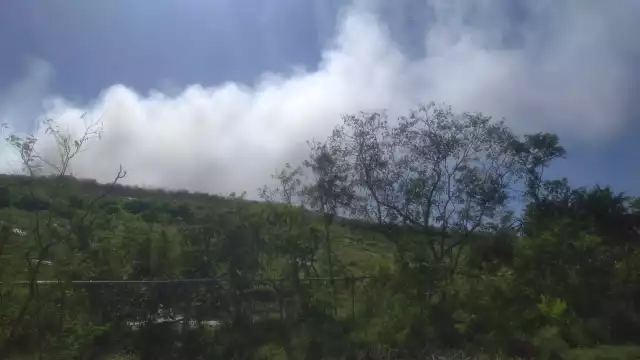 El basurero de Mérida se encuentra ubicado en la carretera Susulá-Chalmuch