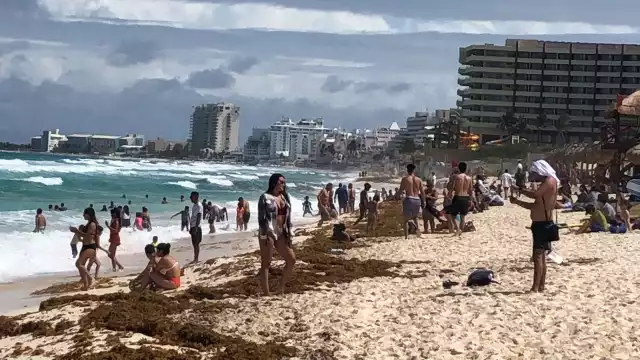 Pese al sargazo en la arena, las familias no dudaron en pasar un día en el arenal
