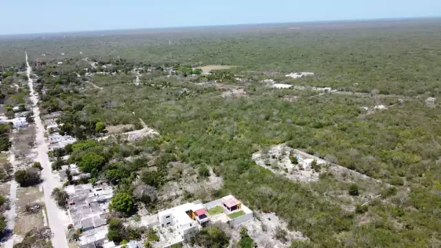 Moreno Gómez, titular de la Canadevi, dice que la actividad ilegal representa un crimen que daña la ecología