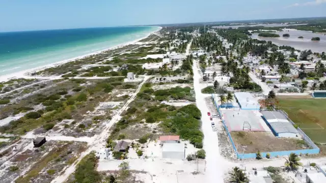 Karem Castilla pide a la Profepa y Semarnat investigar el proceso de lotificación del comisario de Sisal