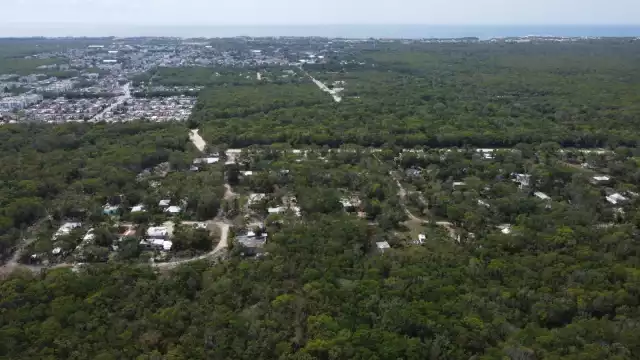 El suelo artificializado (compactado para área urbana) cuenta con una superficie de 19 mil 266 hectáreas