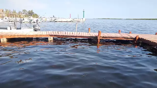 Puertos del Litoral Oriente de Yucatán se ven afectados por el nivel de agua que sube por las noches