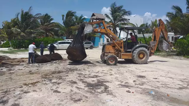 La cantidad de sargazo que recala en las costas de Quintana Roo supera al equipo de limpieza de la Semar y municipal