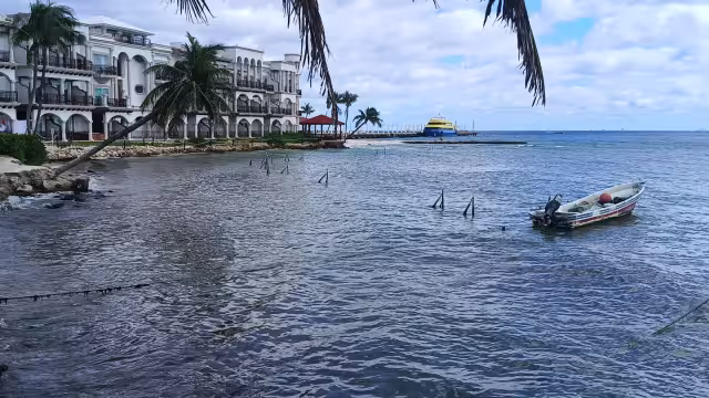 Los inversionistas presentaron un amparo de revisión.