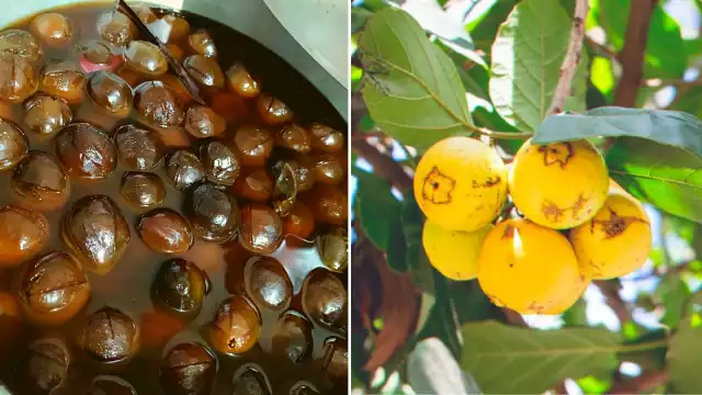 El ciricote se ha convertido en un dulce típico de Yucatán y es preparado en almíbar