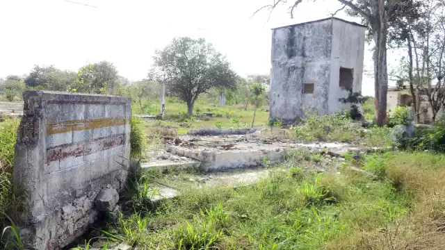 Foto: Ramón Reyna Fernández